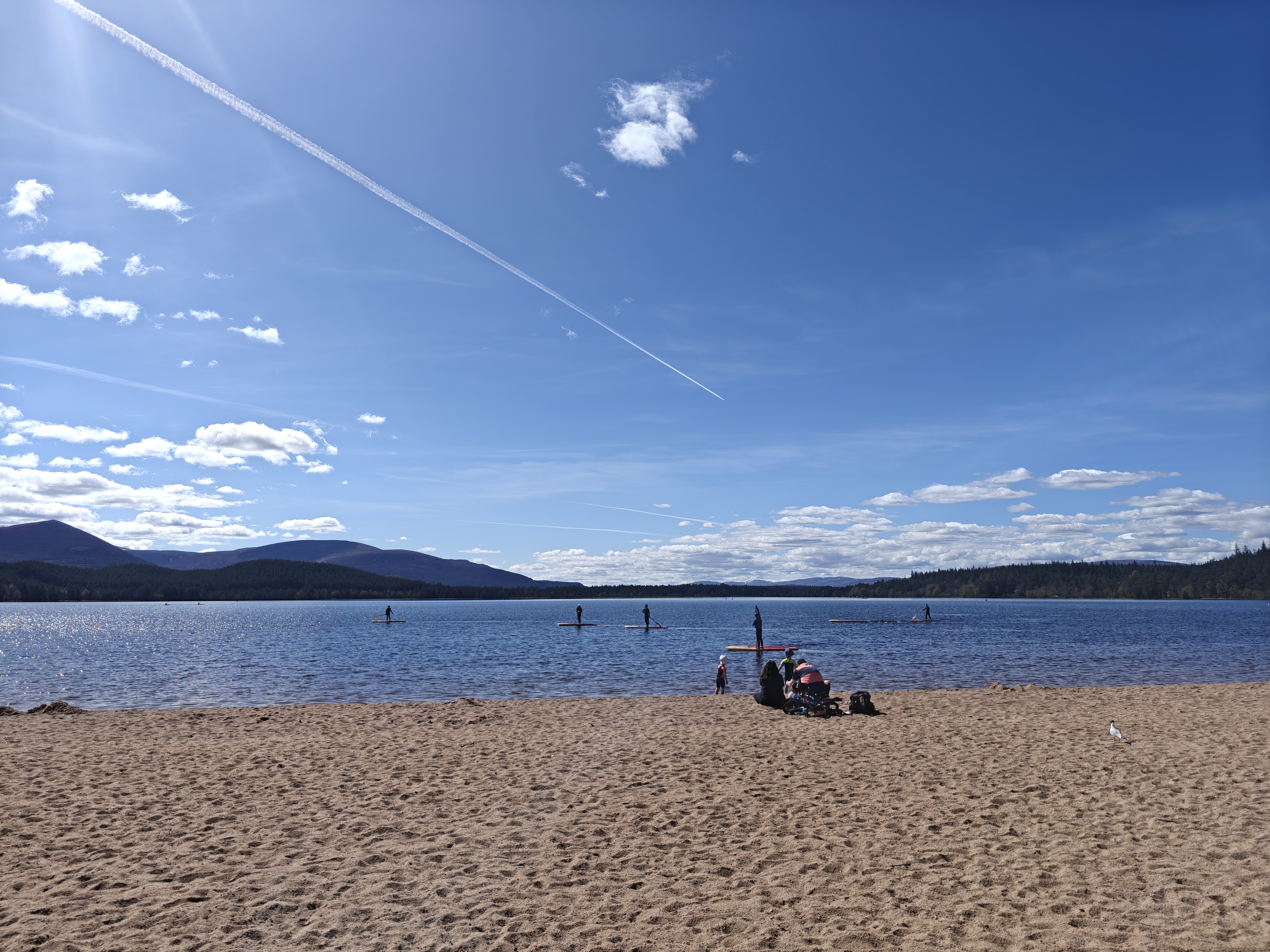 Loch at Glenmore Forest Park, Cairngorms
