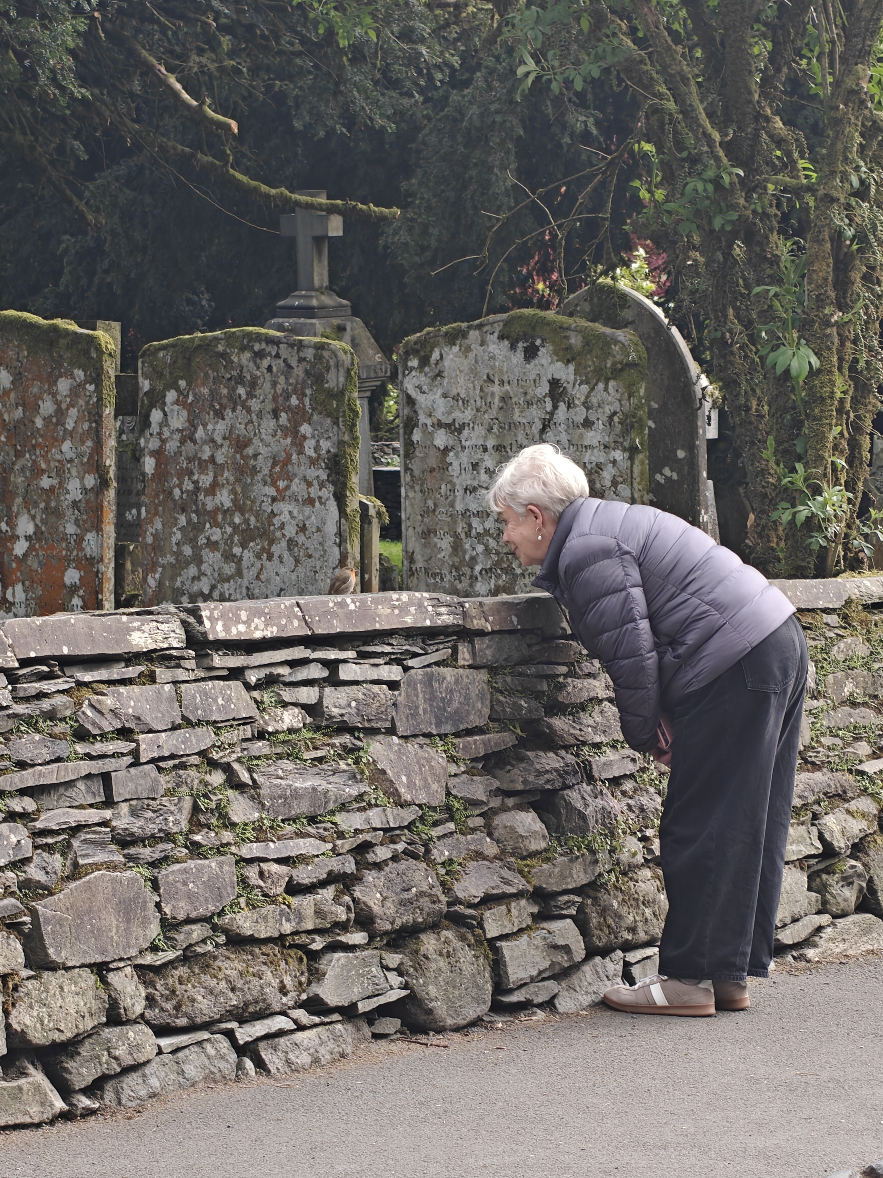 Elderly woman talking to a bird by a stone wall, Grasmere
